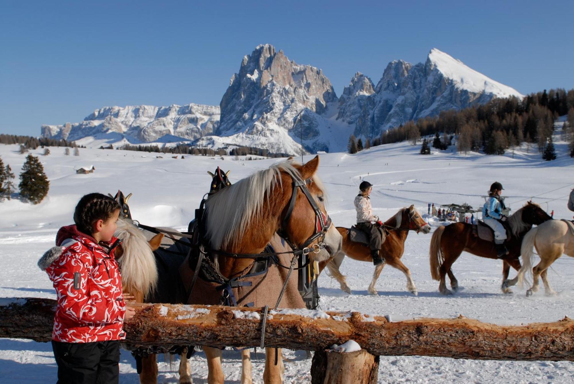 Dolomites Living Hotel Tirler Alpe Di Siusi Εξωτερικό φωτογραφία